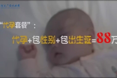 地下代孕调查：包性别、包出生证，代孕套餐88万